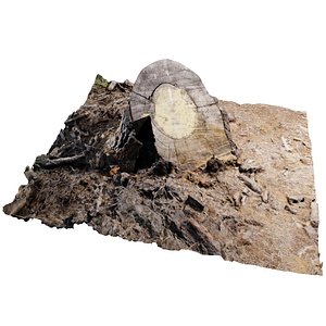 3D ponderosa tree stump model