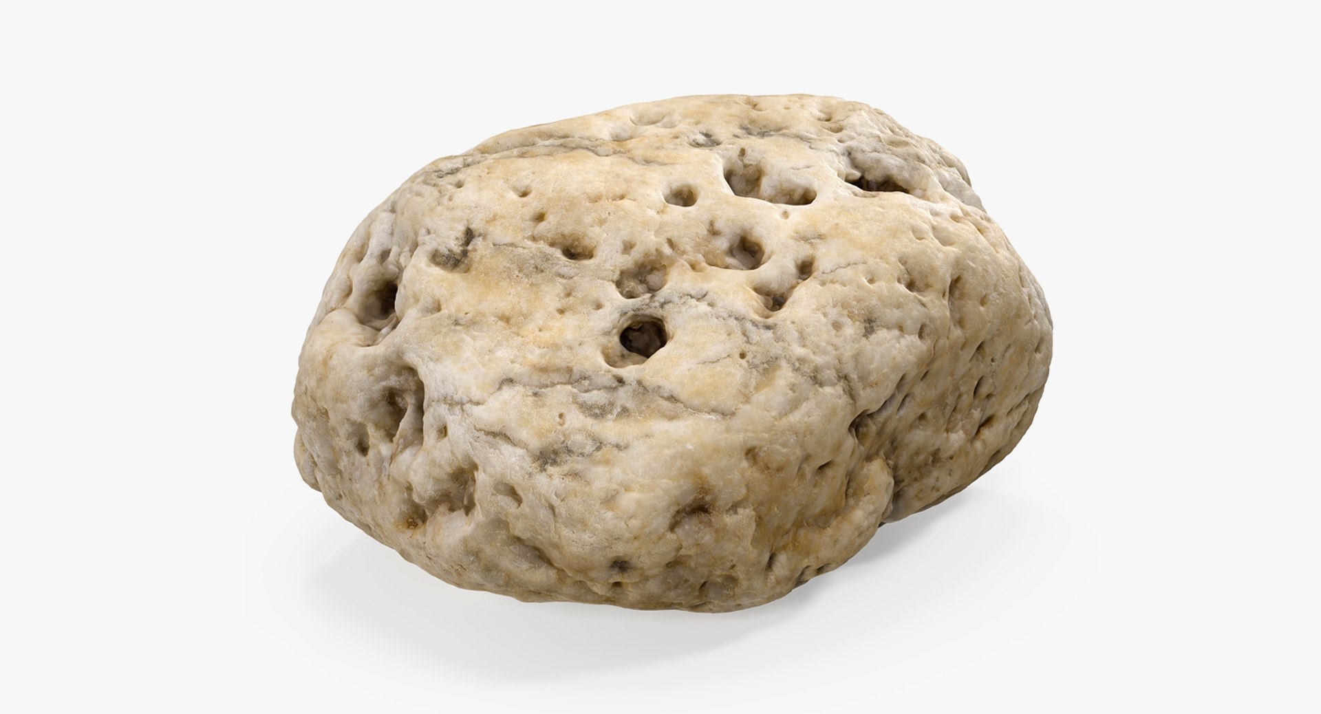Small Sea Rock with Holes 3D model preview
