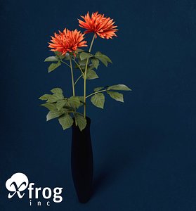 XfrogPlants Dahlia