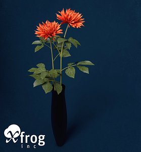 XfrogPlants Dahlia