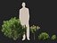 HighpolyLow Poly - Laurier-rose - Laurier-rose 01