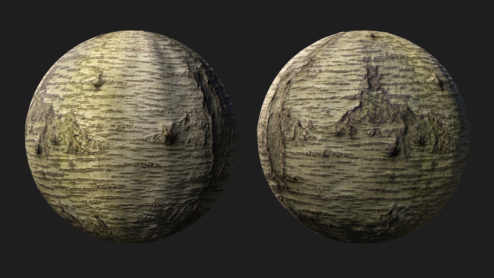 Sweet cherry bark PBR tiled texture 8K 3D model https://p.turbosquid.com/ts-thumb/ce/6mrRLd/3a/cherry08/jpg/1758779497/1920x1080/fit_q87/ae4f331098cd5bc7c7765be12a18eb07def05b40/cherry08.jpg