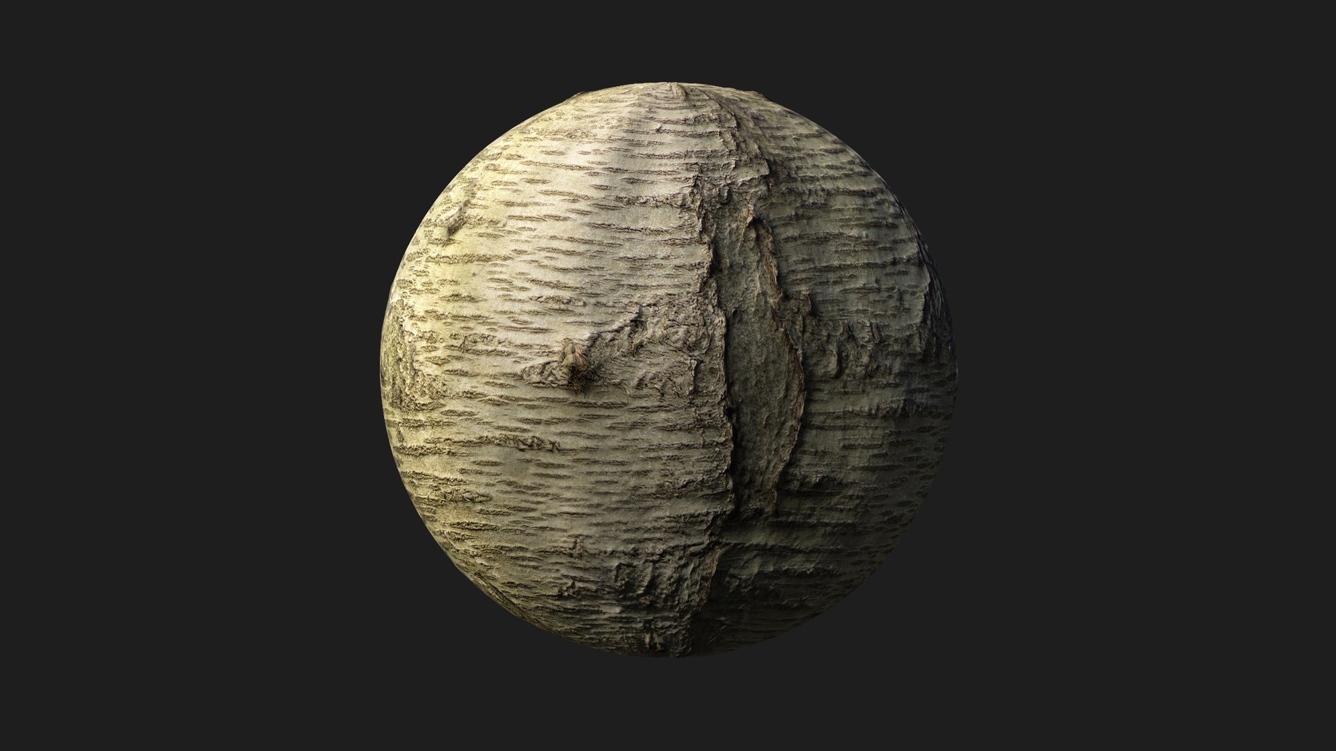 Sweet cherry bark PBR tiled texture 8K 3D model https://p.turbosquid.com/ts-thumb/ce/6mrRLd/TE/cherry05/jpg/1758779490/1920x1080/fit_q87/f0a5deedff737ac877c60a6c186ad1923699ca05/cherry05.jpg