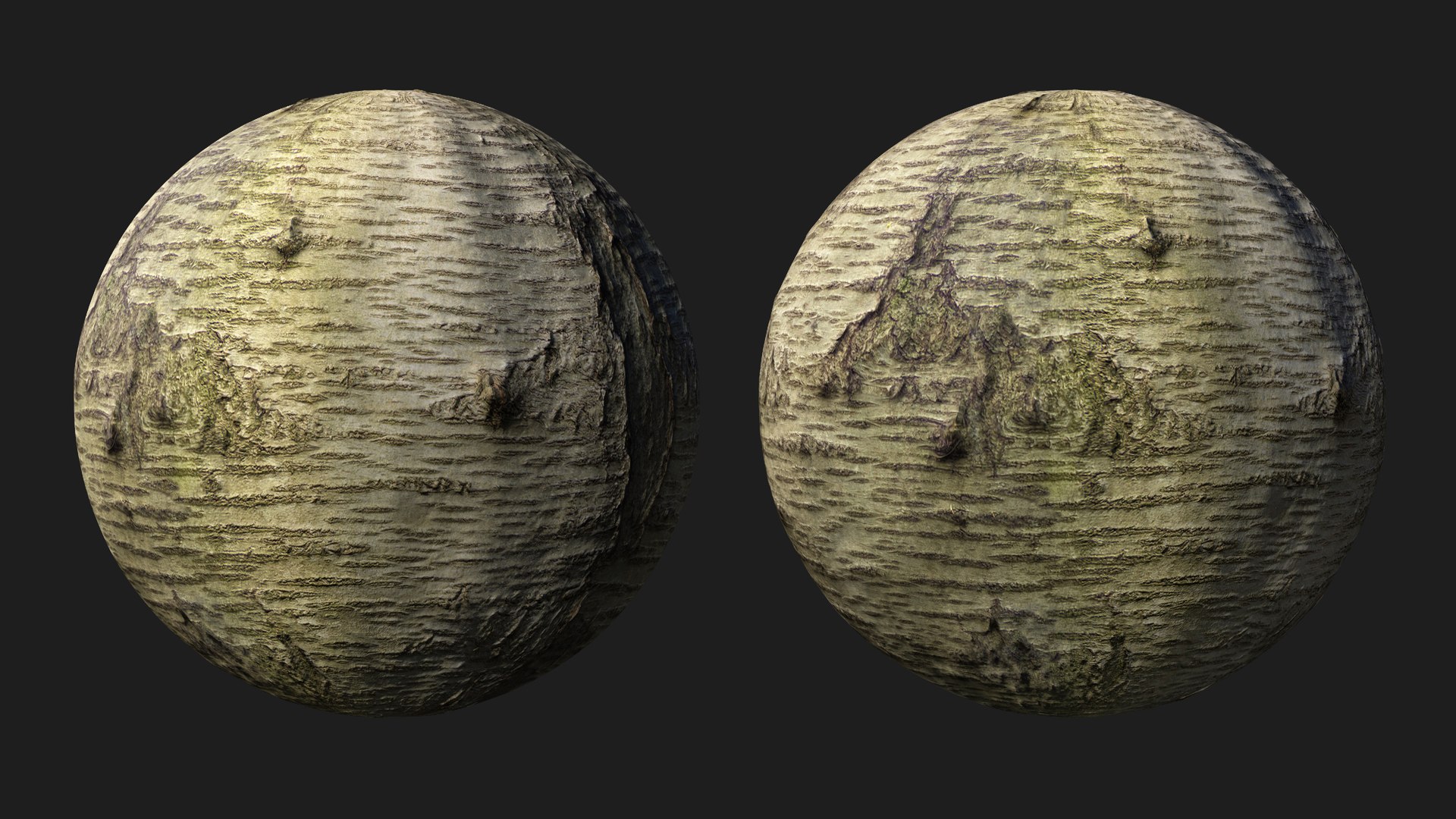 Sweet cherry bark PBR tiled texture 8K 3D model https://p.turbosquid.com/ts-thumb/ce/6mrRLd/bh/cherry09/jpg/1758779499/1920x1080/fit_q87/5e8d91fb628b5dd4ed5c3d4084852a0dd9345a96/cherry09.jpg