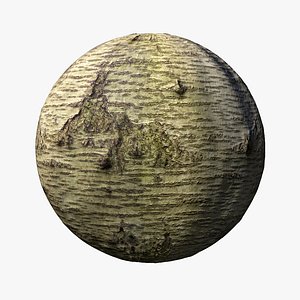 Sweet cherry bark PBR tiled texture 8K