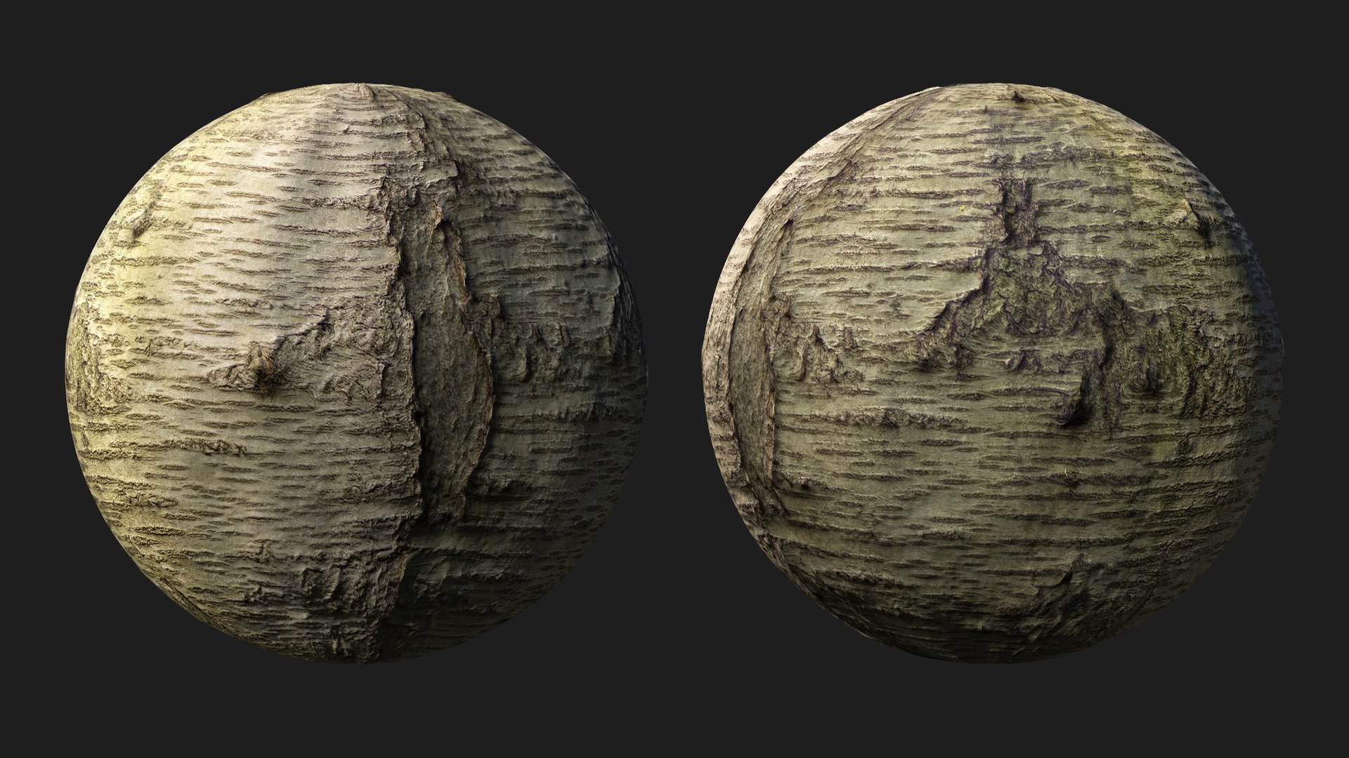 Sweet cherry bark PBR tiled texture 8K 3D model https://p.turbosquid.com/ts-thumb/ce/6mrRLd/ou/cherry07/jpg/1758779494/1920x1080/fit_q87/d5494e8eec5c2dfc3bdc7b4527aa216e383dec88/cherry07.jpg