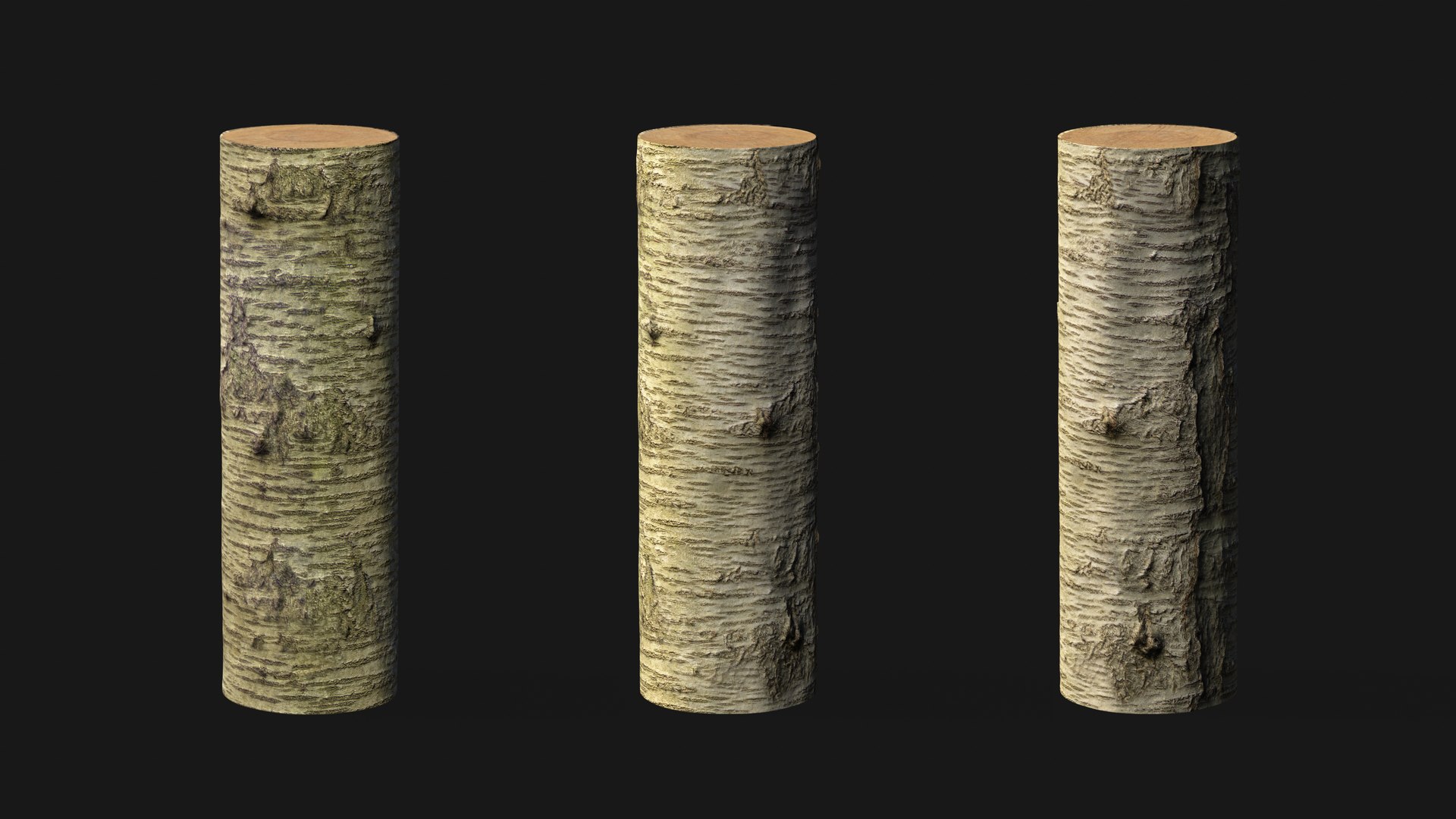Sweet cherry bark PBR tiled texture 8K 3D model https://p.turbosquid.com/ts-thumb/ce/6mrRLd/qJ/cherry10/jpg/1758779500/1920x1080/fit_q87/ec207f654b7a7cca1b6c55c23eb3cc12fcdc79c1/cherry10.jpg