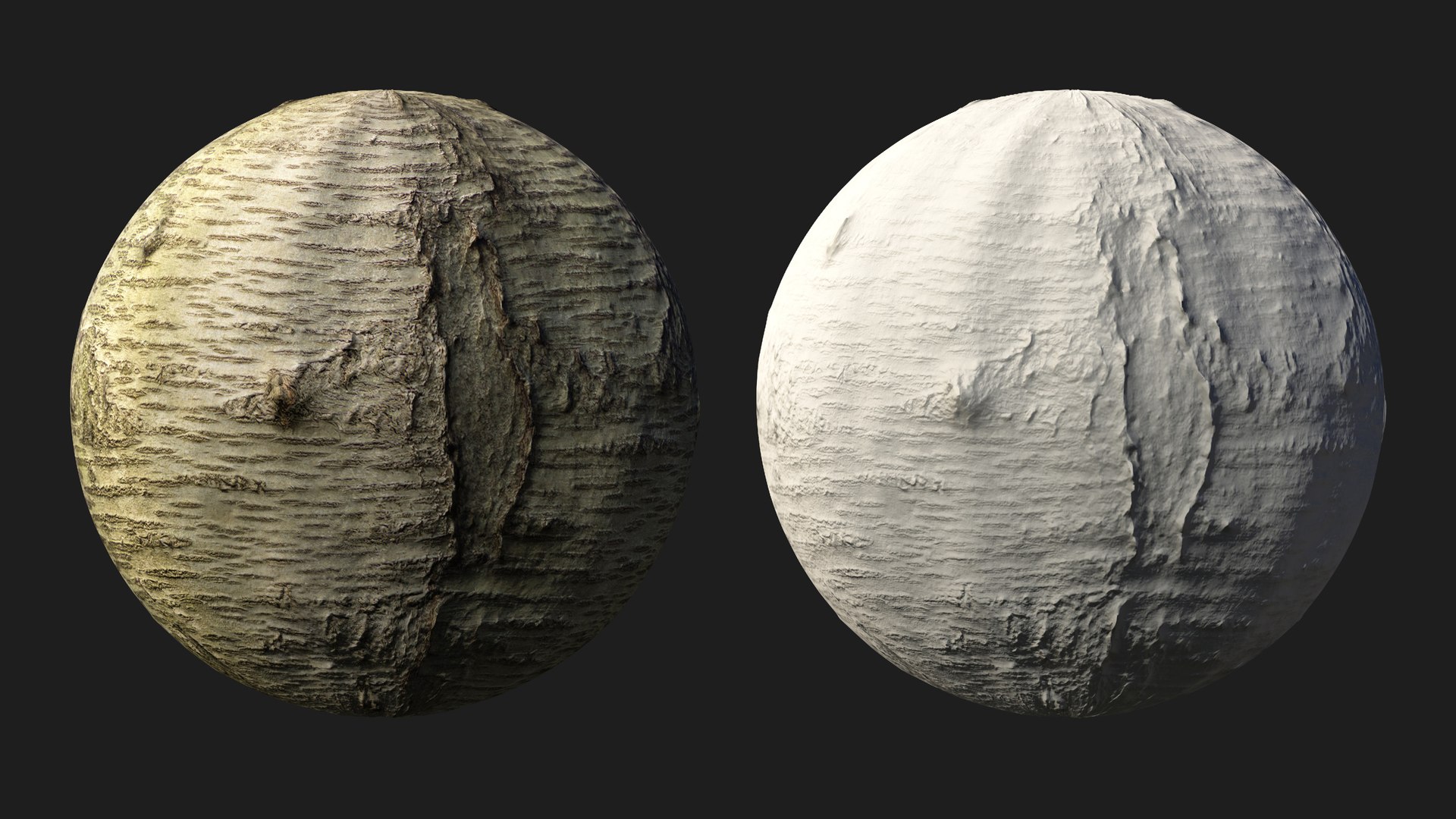 Sweet cherry bark PBR tiled texture 8K 3D model https://p.turbosquid.com/ts-thumb/ce/6mrRLd/rn/cherry06/jpg/1758779493/1920x1080/fit_q87/f6e5b68e97ba2d29fb4a082e3c3c9b1b80441c8f/cherry06.jpg