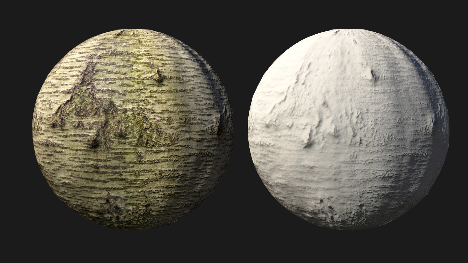 Sweet cherry bark PBR tiled texture 8K 3D model https://p.turbosquid.com/ts-thumb/ce/6mrRLd/zd/cherry03/jpg/1758779489/1920x1080/fit_q87/a1190cc5f94fa6a083fae476da971ec283e4f740/cherry03.jpg