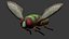 Fly
