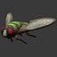 Fly
