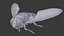 Fly