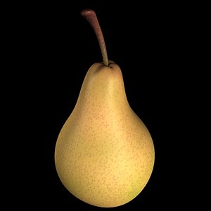 3d model pear fruit