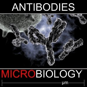 max antibodies virus