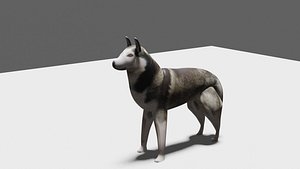 Husky 3D model