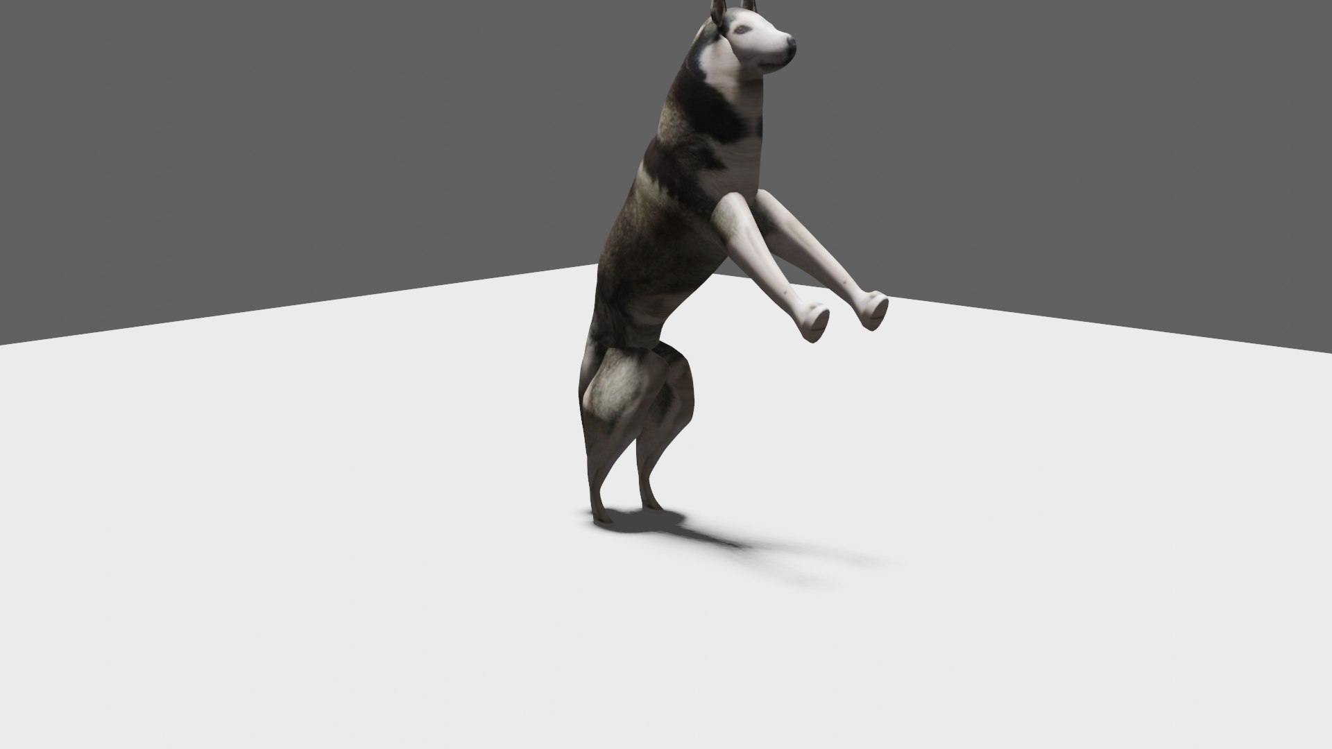 Husky 3D Model - TurboSquid 2076139