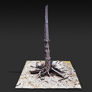 desert tree standing 03 3D model