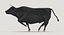 Bull Black Running