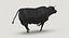 Bull Black Running
