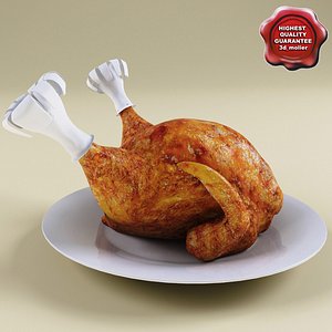 3d turkey modelled