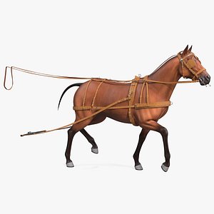 horse drawn leather driving 3D model
