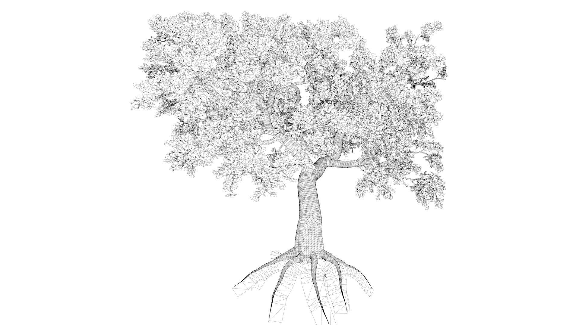 Japanese Maple Tree - 01 - 3D Model - TurboSquid 2376679