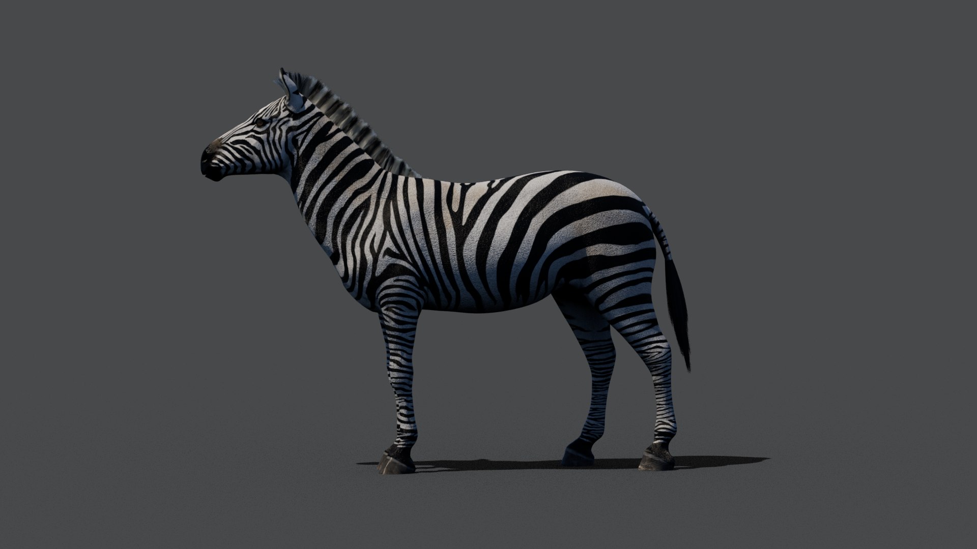 3D Zebra Maya Model - TurboSquid 2391549