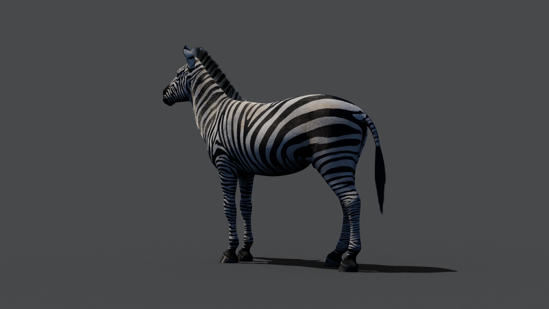 3D Zebra Maya Model - TurboSquid 2391549