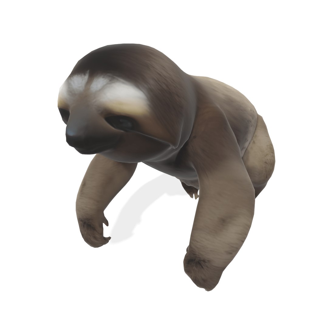 Chill The Stylized Sloth 3D Model - TurboSquid 2324780