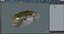 Puffer Fish