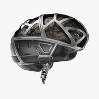 Cyber Brain