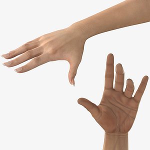 Male and Female Hands Rigged Collection
