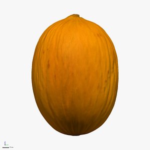 Honeydew melon HiRes