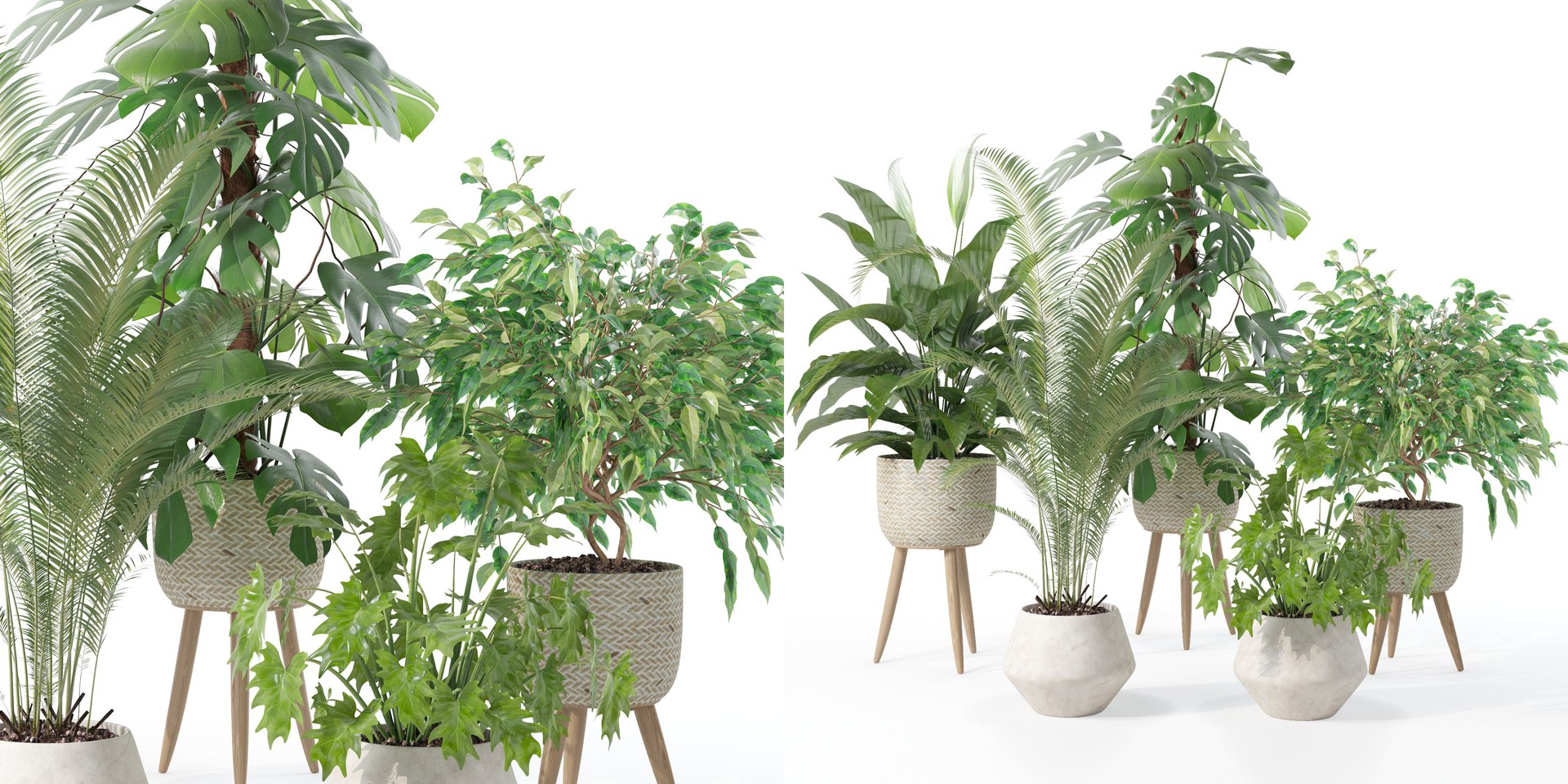 3D Plants collection 121 https://p.turbosquid.com/ts-thumb/cf/TEZ9Me/C6/3/jpg/1663232212/1920x1080/fit_q87/f0db5d590fe093469bfa1fb97880f17038c10abe/3.jpg