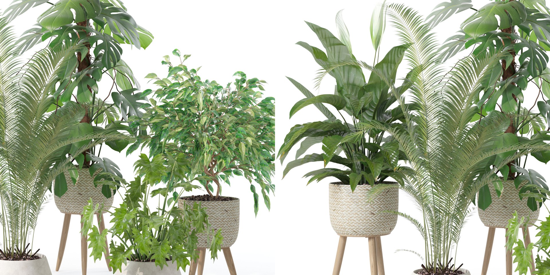 3D Plants collection 121 https://p.turbosquid.com/ts-thumb/cf/TEZ9Me/HZ/4/jpg/1663232213/1920x1080/fit_q87/18c3a54e76387311110e4739789c80573d658998/4.jpg