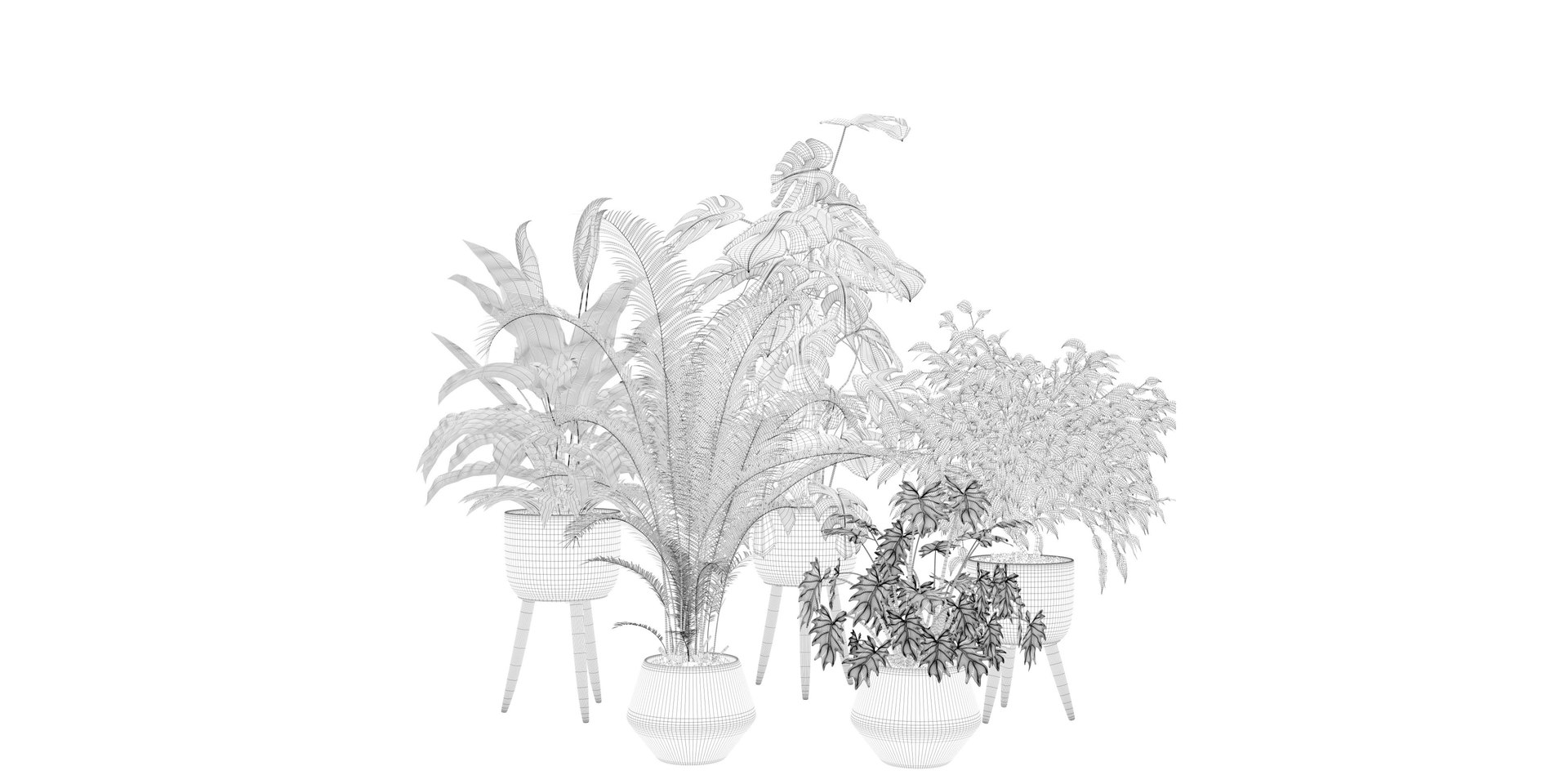 3D Plants collection 121 https://p.turbosquid.com/ts-thumb/cf/TEZ9Me/Sb/5/jpg/1663232211/1920x1080/fit_q87/301df4662543168d0d503291b136d777c0fe6636/5.jpg