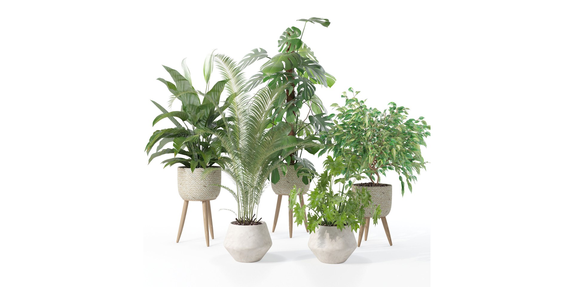 3D Plants collection 121 https://p.turbosquid.com/ts-thumb/cf/TEZ9Me/ob/1/jpg/1663232209/1920x1080/fit_q87/3cb0afdb59ceb9ba02f516d40de2d356793ba8a3/1.jpg