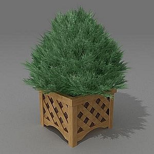 bush garden 3d model