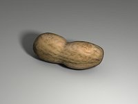 Peanut - High and Low Poly
