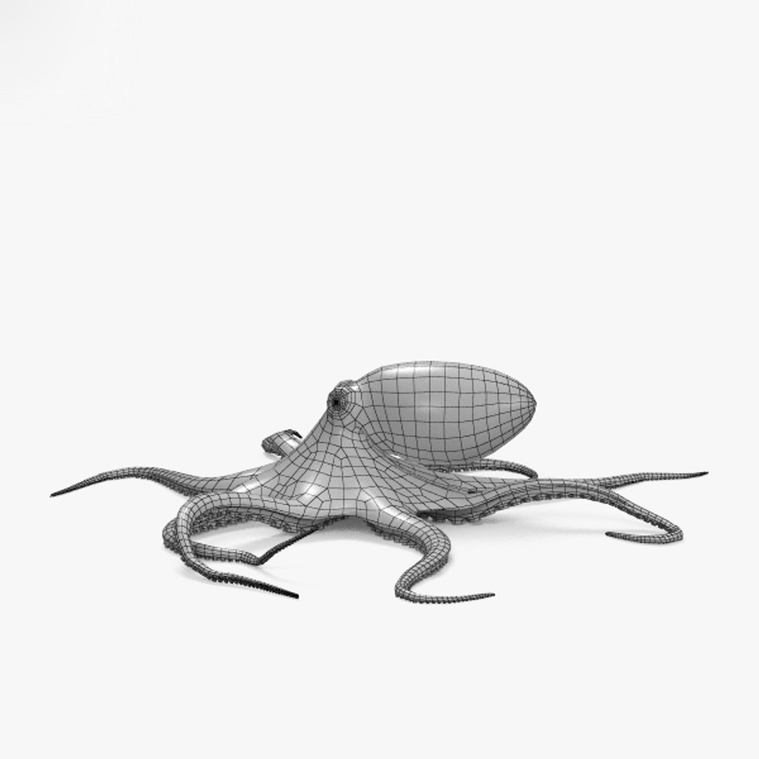 3D common octopus - TurboSquid 1356868