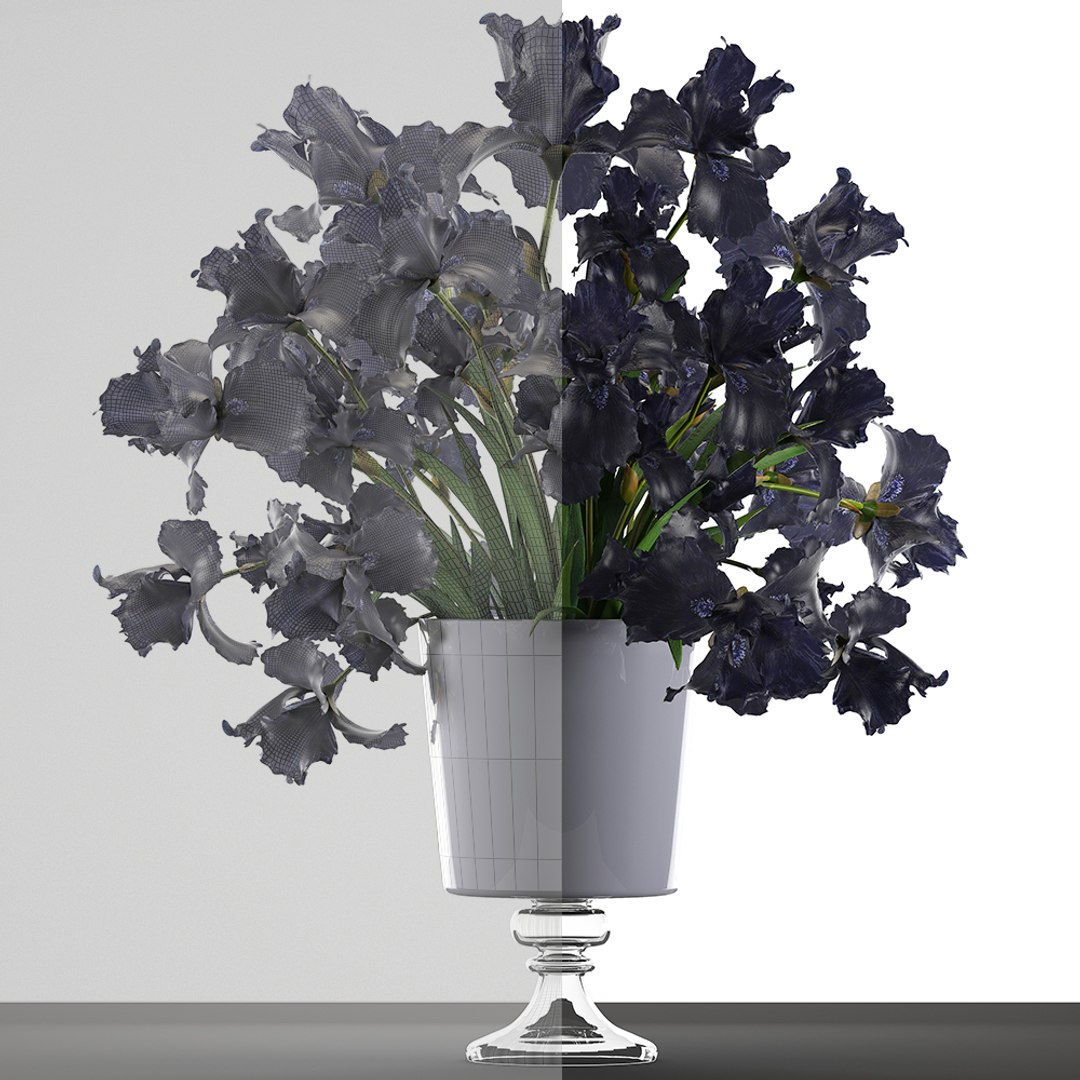 3D model flower bouquet black https://p.turbosquid.com/ts-thumb/cf/xRrqtF/5Y6GgHNf/irisflowerblack120607/jpg/1528887633/1920x1080/fit_q87/496ee74e3327b55ef41980c7358de37356b0673f/irisflowerblack120607.jpg