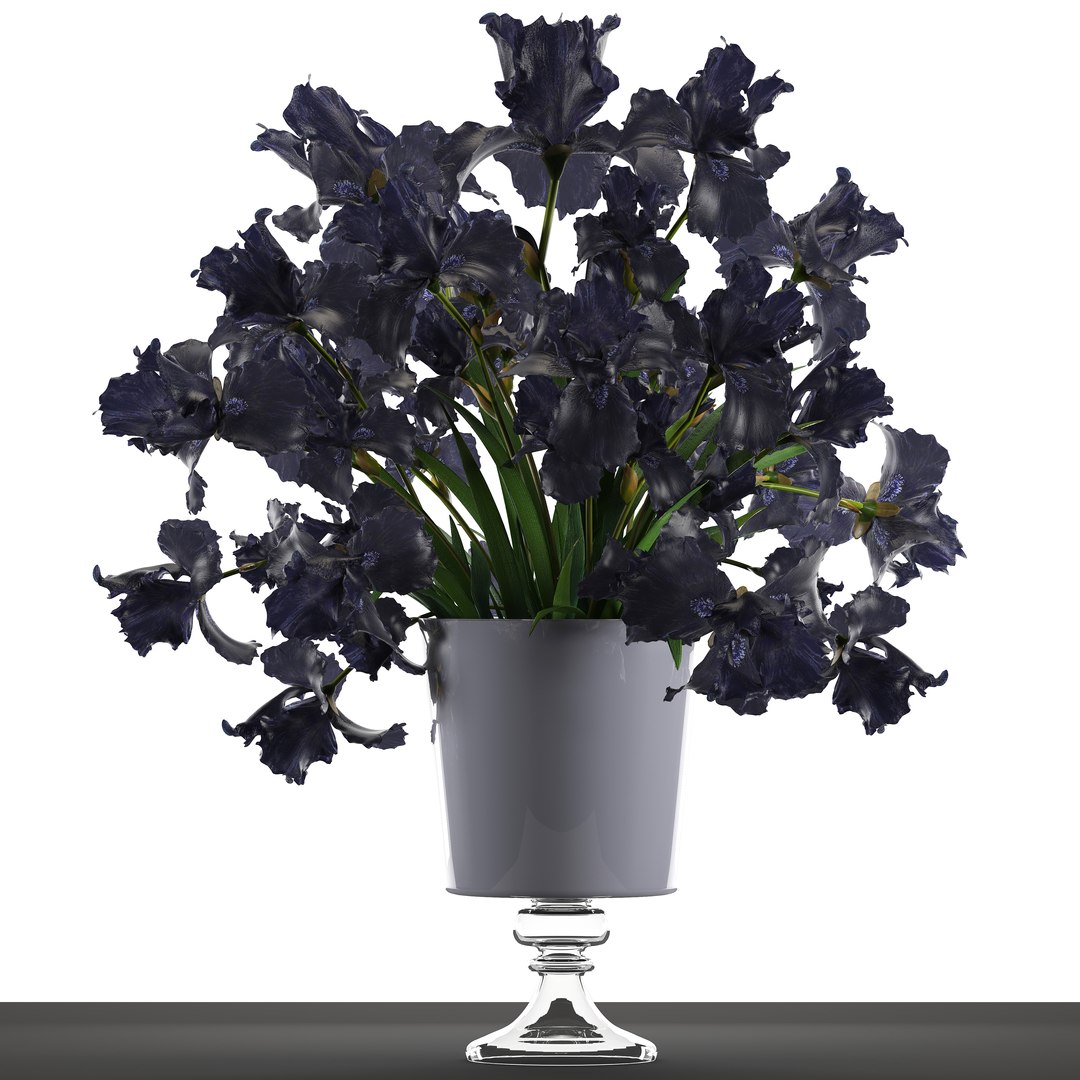 3D model flower bouquet black https://p.turbosquid.com/ts-thumb/cf/xRrqtF/Bp5dWRDb/irisflowerblack120601/jpg/1528887633/1920x1080/fit_q87/3d4603fe420410323eabc835b10984f8e4ffa564/irisflowerblack120601.jpg