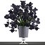bouquet of black flowers