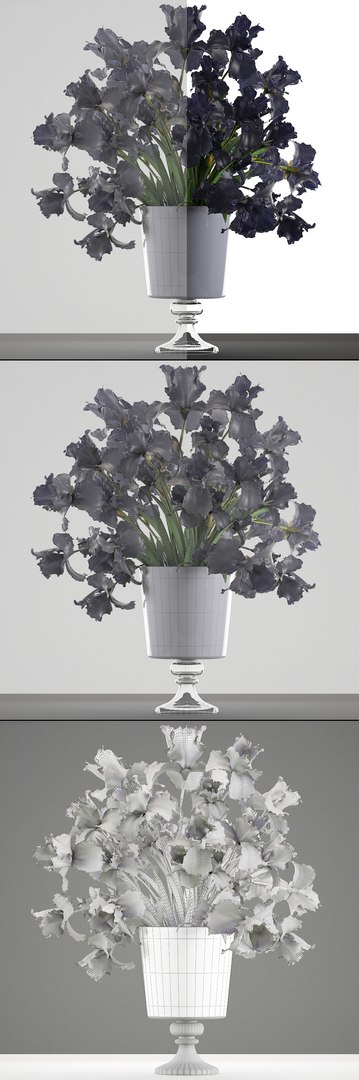 3D model flower bouquet black https://p.turbosquid.com/ts-thumb/cf/xRrqtF/CC4alfd5/irisflowerblack120606/jpg/1528887633/1920x1080/fit_q87/a2e79ac782d5ea61cc2ca4db707672c27404795a/irisflowerblack120606.jpg