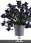 bouquet of black flowers