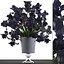 bouquet of black flowers
