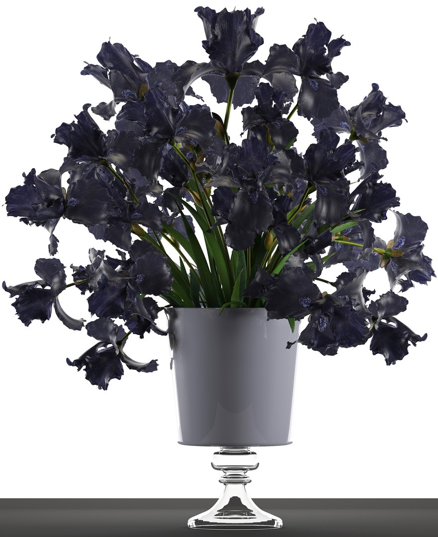 3D model flower bouquet black https://p.turbosquid.com/ts-thumb/cf/xRrqtF/f1hIYGjt/irisflowerblack120602/jpg/1528887633/1920x1080/fit_q87/35acd8baa5244e55a87f07fbc337c56b6c559046/irisflowerblack120602.jpg
