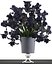bouquet of black flowers