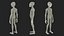 Standing Humanoid Alien