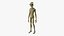 3D Standing Humanoid Alien model